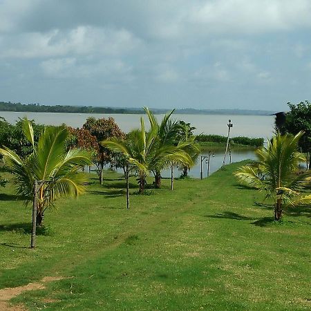 The Peepal Tree, Kabini Begur Ngoại thất bức ảnh