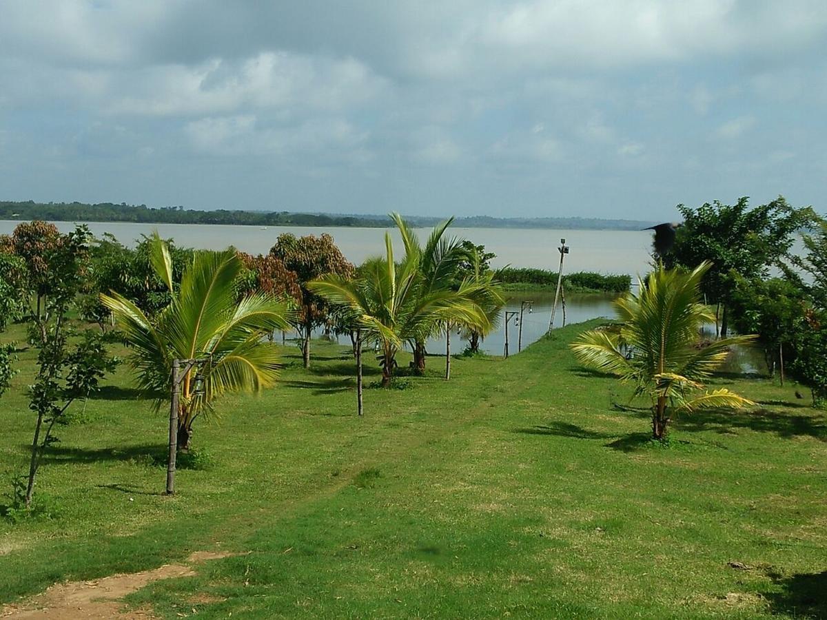 The Peepal Tree, Kabini Begur Ngoại thất bức ảnh